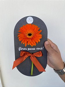 Mimo no Cartão