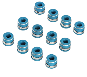 Retentor Válvula Alta Perfomance Chevrolet Opala