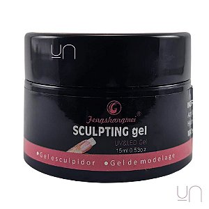 Gel Sculpting Fengshangmei CLEAR 15gr - Pretinho do Poder