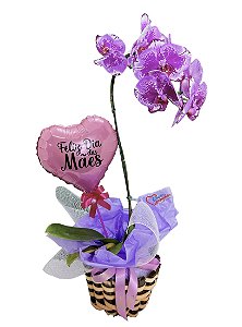 Orquidea Grande