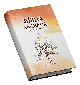 Bíblia Sagrada Iniciação à Vida Cristã