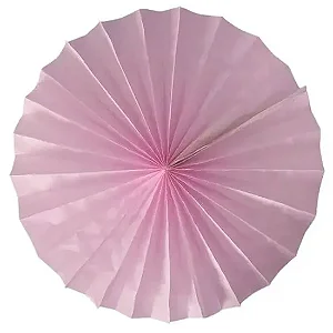 Margarida Fiorata Rosa Claro (1 und)