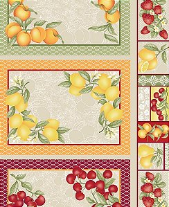 Tricoline Painel De Jogo Americano Frutas Realista