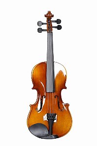 VIOLINO LAND STANDARD V10 4/4