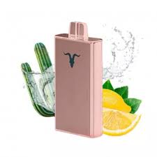 Pod Descartável Ignite V250 - Cactus Lime Soda