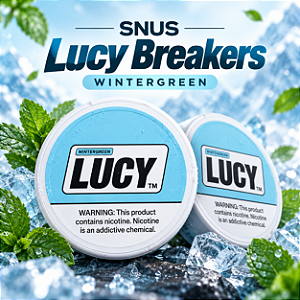 Bolsas de Nicotina Lucy Breakers - Wintergreen
