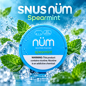 Bolsas de Nicotina Nüm - Spearmint