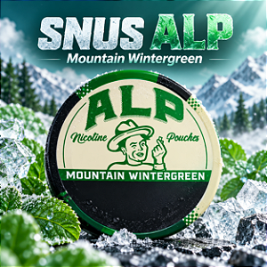 Bolsas de Nicotina ALP - Mountain Wintergreen