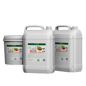 Kit Lavatório Pimenta e Menta 3 Passos
