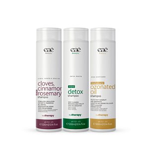 Kit 3 Shampoo Terapia Capilar 300 ml