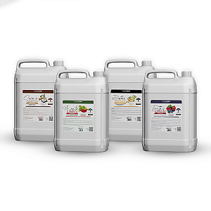 Kit Shampoos Lavatório - Frutas Vermelhas, Pimenta e Menta, Mandioca e Perolado