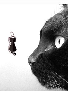 Gato Preto