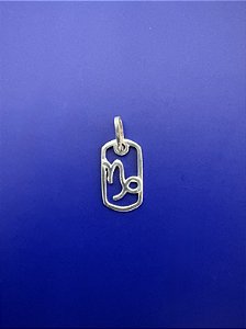 Signo Capricórnio