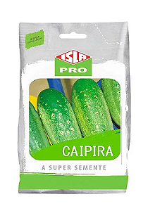 Sementes de Pepino Caipira- 100gr - Isla Pro