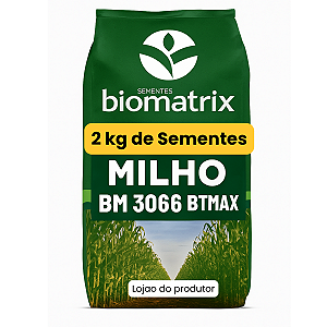 Sementes De Milho Híbrido 3066 BTMax - 2 Kg Alta tecnologia