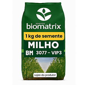 Semente de milho resistente a lagarta e Roundup BM 3077 - 1 KG