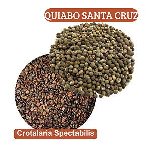 Kit rotação 3.000 Quiabo Santa Cruz + 3KG Crota. Spectabilis