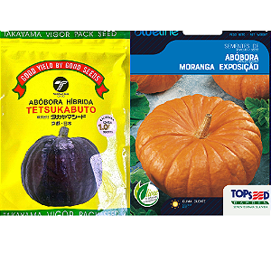 Abobora hibrida 1.000 F1 takayama + 10 pct moranga polinizadora