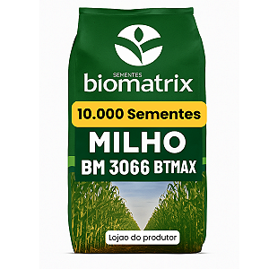 Semente milho 3066 BTMAX - Resistente Milho Verde e Silagem - 10.000 sementes