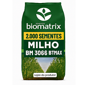 Semente milho 3066 BTMAX - Resistente Milho Verde e Silagem - 2.000 sementes