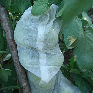 Saco proteção frutas legumes pragas doenças 18x15 cm - 100 un