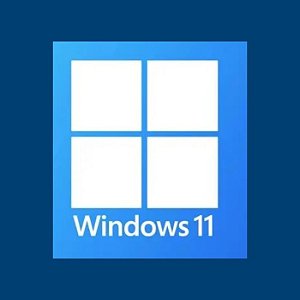 Curso online: Informática V5 - Windows 11