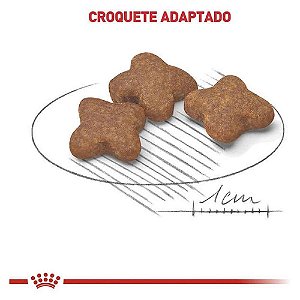 Ração Mini Adulto 8+ Cães, 2,5 KG. ROYAL CANIN. Cod. 10101019