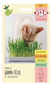 Sementes de Grama Félix - Erva para Gatos - 2g - Isla Linha Pet