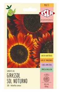 Sementes de Girassol Sol Noturno - 800 mg - Isla