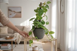 Vaso Nanda Concreto Cinza 22x17cm - Plástico Pedra Artificial TS Brasil