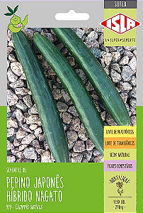 Sementes de Pepino Japonês Híbrido Nagato - 271mg - Isla