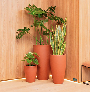 Kit de 3 Vasos Vietnamita Terracota - Vasap Design