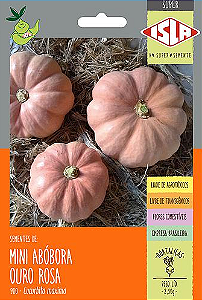 Sementes de Mini Abóbora Ouro Rosa 7,50g - Isla