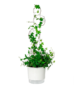 Tutor para Plantas Urban Esferas Branco - 80cm - Raiz