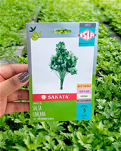 Sementes de Salsa Chácara 5g - Isla Sakata