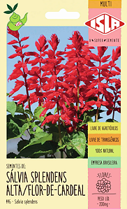 Sementes de Sálvia Splendens Alta/Flor-de-Cardeal - 200mg - Isla