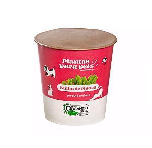 Plantas Para Pets Milho de Pipoca Orgânica - Graminha Pet