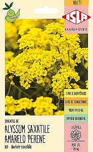 Sementes de Alyssum Saxatile Amarelo Perene 300mg - Isla Multi