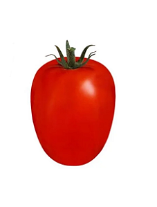 Sementes de Tomate Hibrido Angelim 50mg - Isla Super