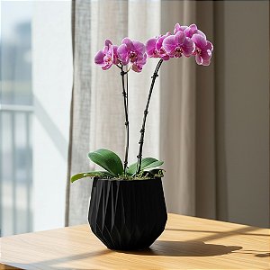 Vaso Origami Redondo 22 - Várias Cores - Nutriplan