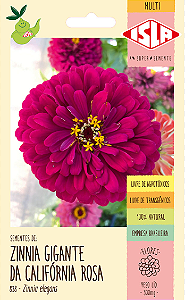 Sementes de Zinnia Gigante da Califórnia Rosa 300mg - Isla Multi