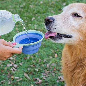 Bowl Retratil Para Pet Oikos Animal