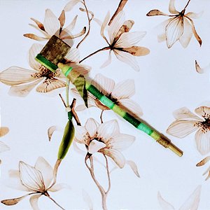 Cachimbo de Madeira (CH0049)