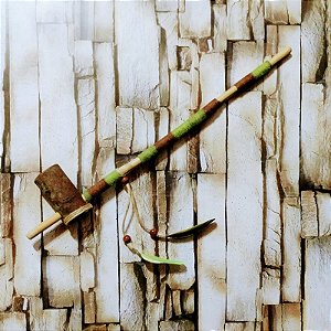 Cachimbo de Madeira (CH0057)