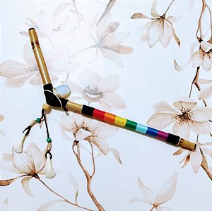 Aplicador de Rapé - Tepi Tons de Arco Íris (R0027)