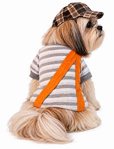 Roupa pet - Camisa Pet Chaves Menino da Vila