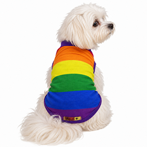Camisa LGBT Colorida Regata Arco Iris