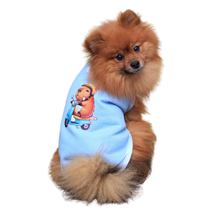 Roupa Pet - Diego Modelo Regata Moletom