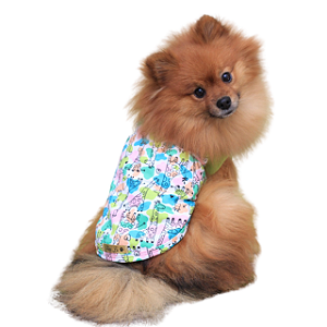 Roupa Pet - Encanto Modelo Regata Moletom