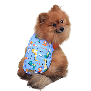 Roupa Pet - Teo Modelo Regata Moletom